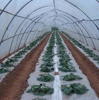 Film di gocciolamento anti- d'annebbiamento anti- DMG95 di For Agricultural Plastic dell'agente dell'additivo di plastica di FSSC