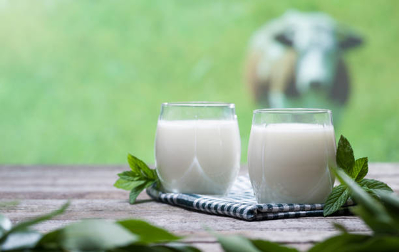 Gli emulsionanti e gli stabilizzatori dell'additivo alimentare DMG95 impediscono la stratificazione possibile in latte