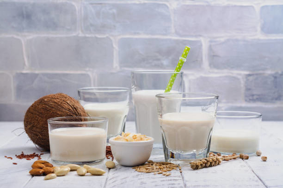 Emulsionante alimentare DMG E471 certificato FSSC per bevande proteiche 25 kg / sacchetto