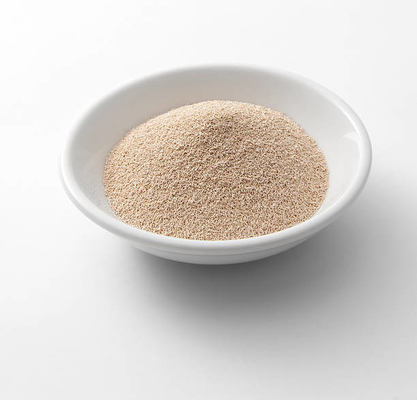 Glicerolo monostearato ingrediente nella produzione di lieviti secchi per prodotti da forno