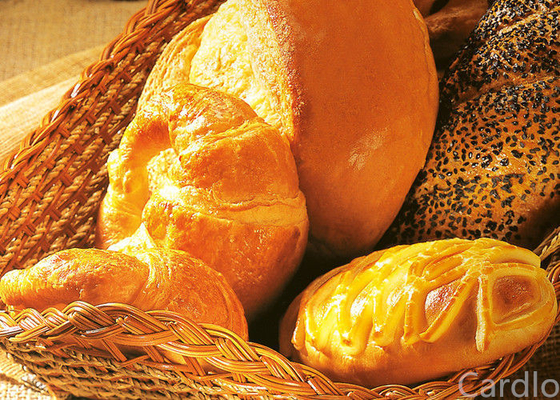 Ingredienti bollenti dell'apprendista 20kg/Bucket di iso 22000