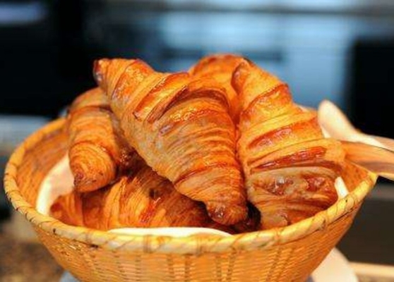 Lievito certificato cascer dell'apprendista del pane di Cardlo