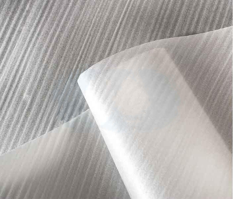 Additivi di plastica Glicerina monostearato GMS 45% polvere per PVC e PE