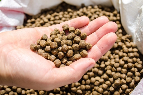Additivi alimentari di monolaurato GML del glicerolo di purezza di 90%