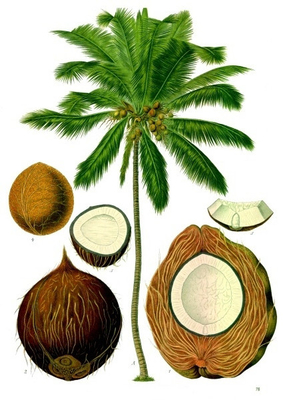 Emulsionante antinvecchiamento E471 GMS 40 dei digliceridi e mono