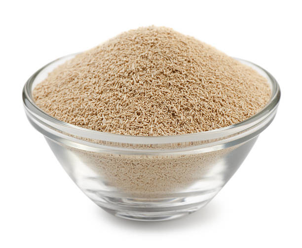Glicerolo monostearato ingrediente nella produzione di lieviti secchi per prodotti da forno